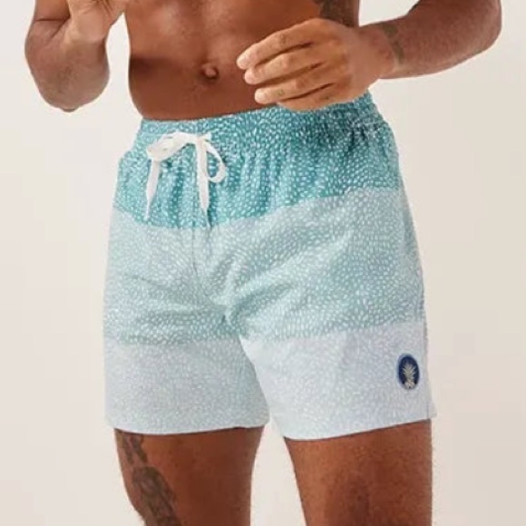 Chubbies The Whale Sharks Classic Swim trunk size Medium - Picture 1 of 8